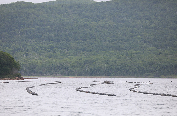 Ферма по выращиванию морских деликатесов обновится в Приморье благодаря господдержке